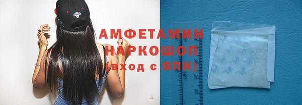 шишки Саяногорск