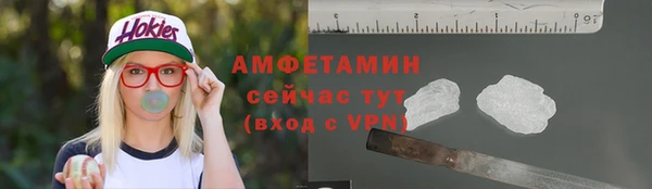 шишки Саяногорск
