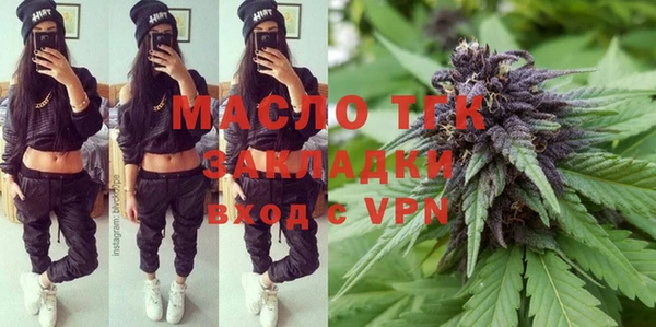 шишки Саяногорск