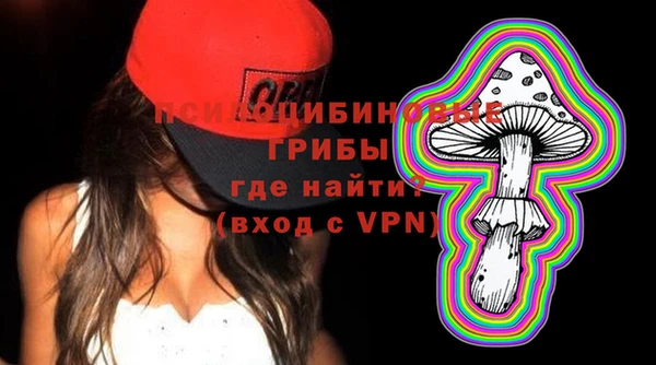 шишки Саяногорск